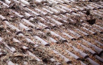 Over roof cleaning companies